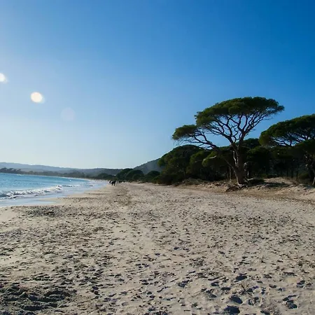 Apartment Valdilicci