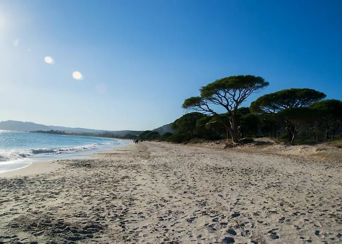 Apartment Valdilicci