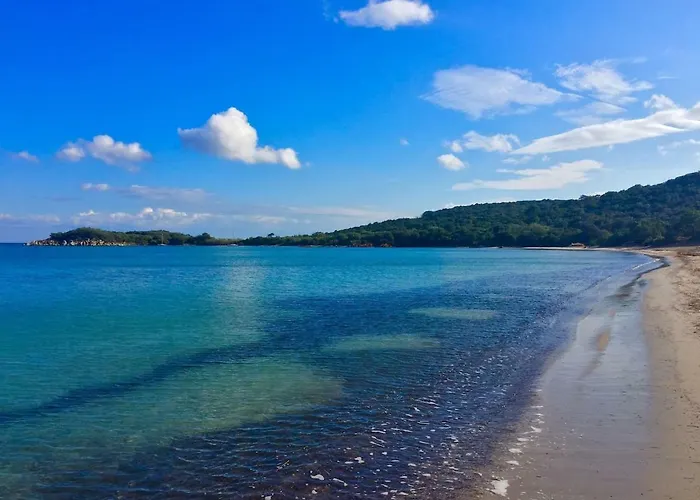 Apartment Valdilicci *