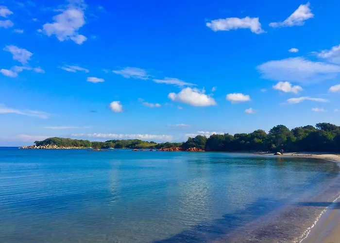 Apartment Valdilicci Porto-Vecchio (Corsica)